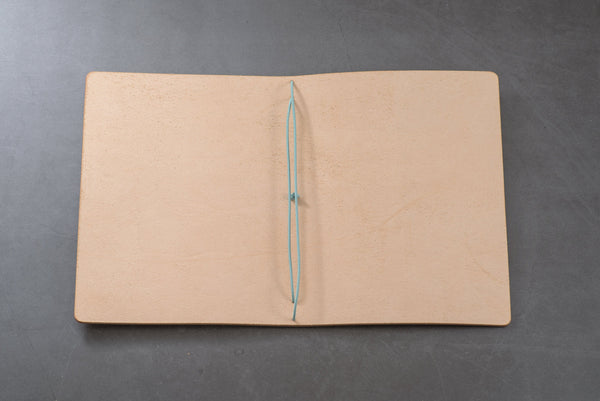 passport cover